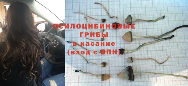 гидропоника Балахна