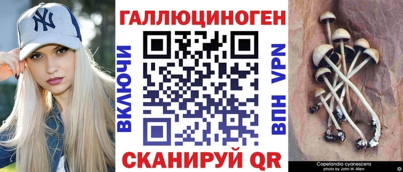 наркотики  Гаврилов-Ям  Псилоцибиновые грибы прущие грибы 